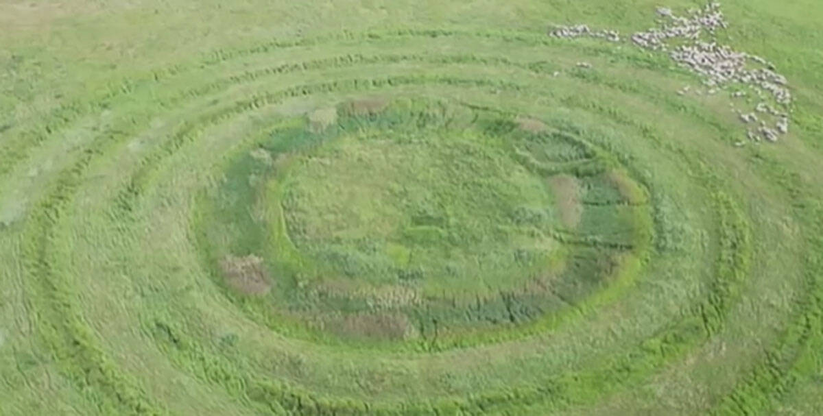 Misteriozni krugovi kod Vršca (2).jpg