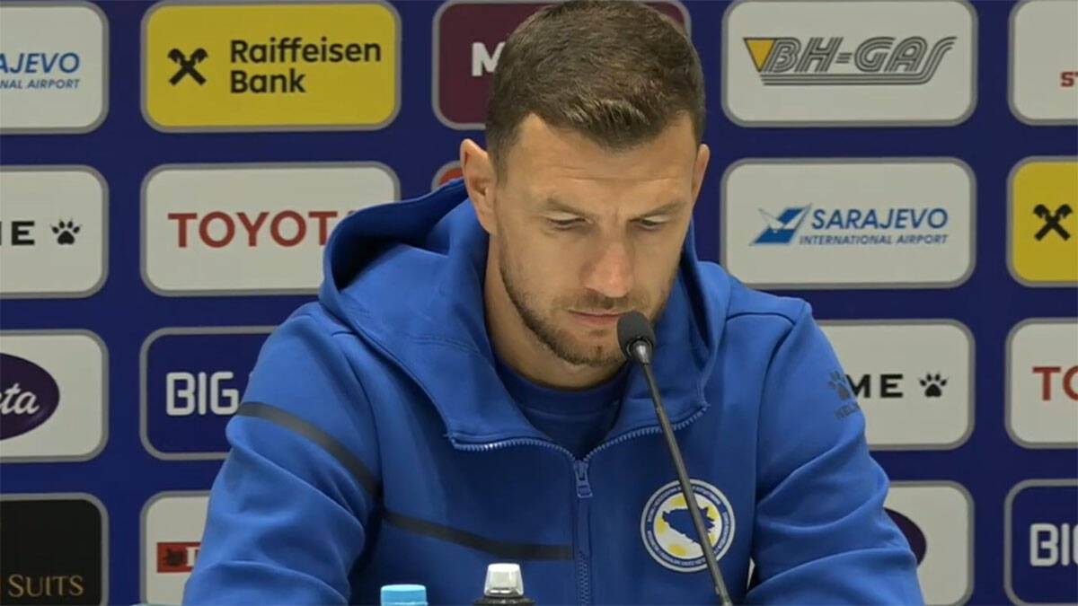 Edin Džeko (1).jpg