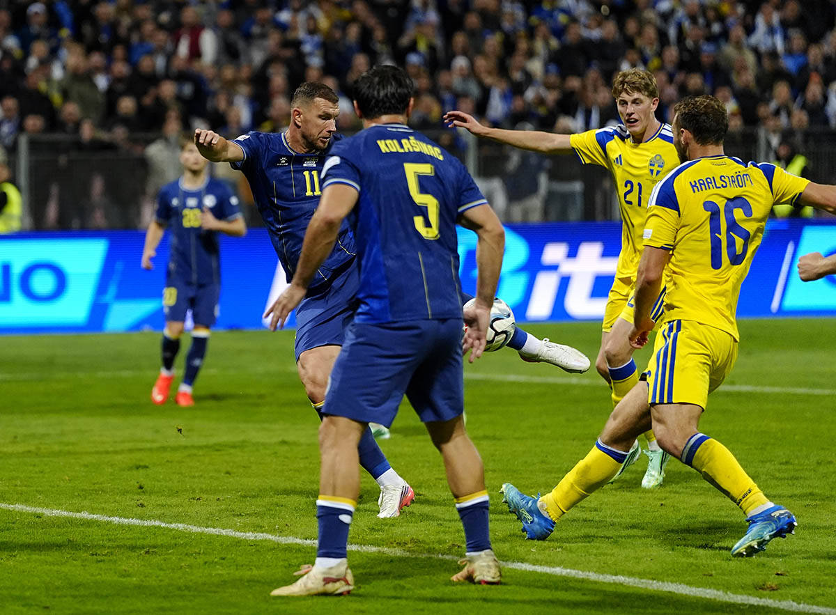 Bosna i Hercegovina - Švedska 2.jpg