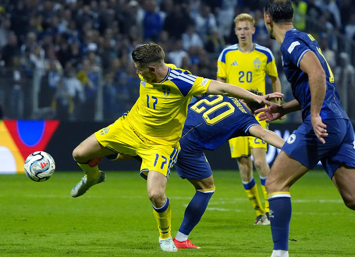 Bosna i Hercegovina - Švedska 2.jpg