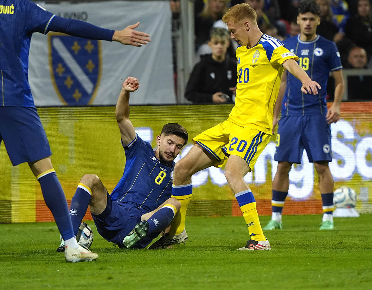 Bosna i Hercegovina - Švedska 2.jpg
