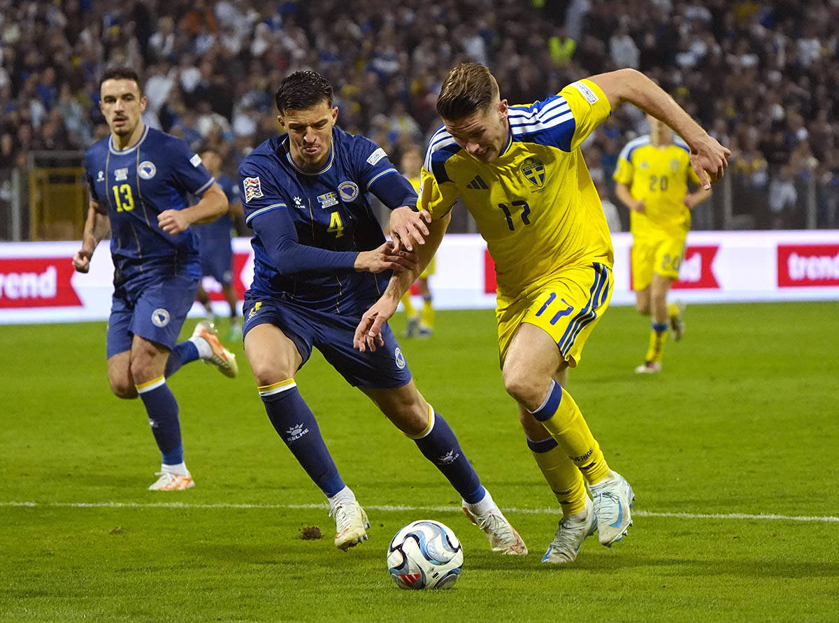 Bosna i Hercegovina - Švedska 2.jpg