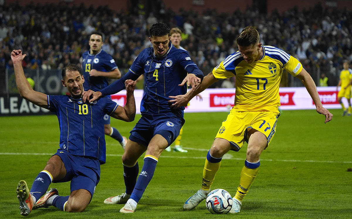 Bosna i Hercegovina - Švedska 2.jpg