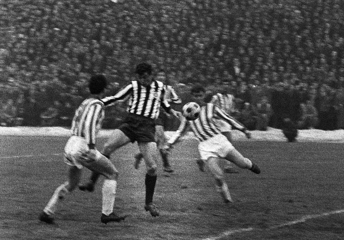 Partizan (1).jpg