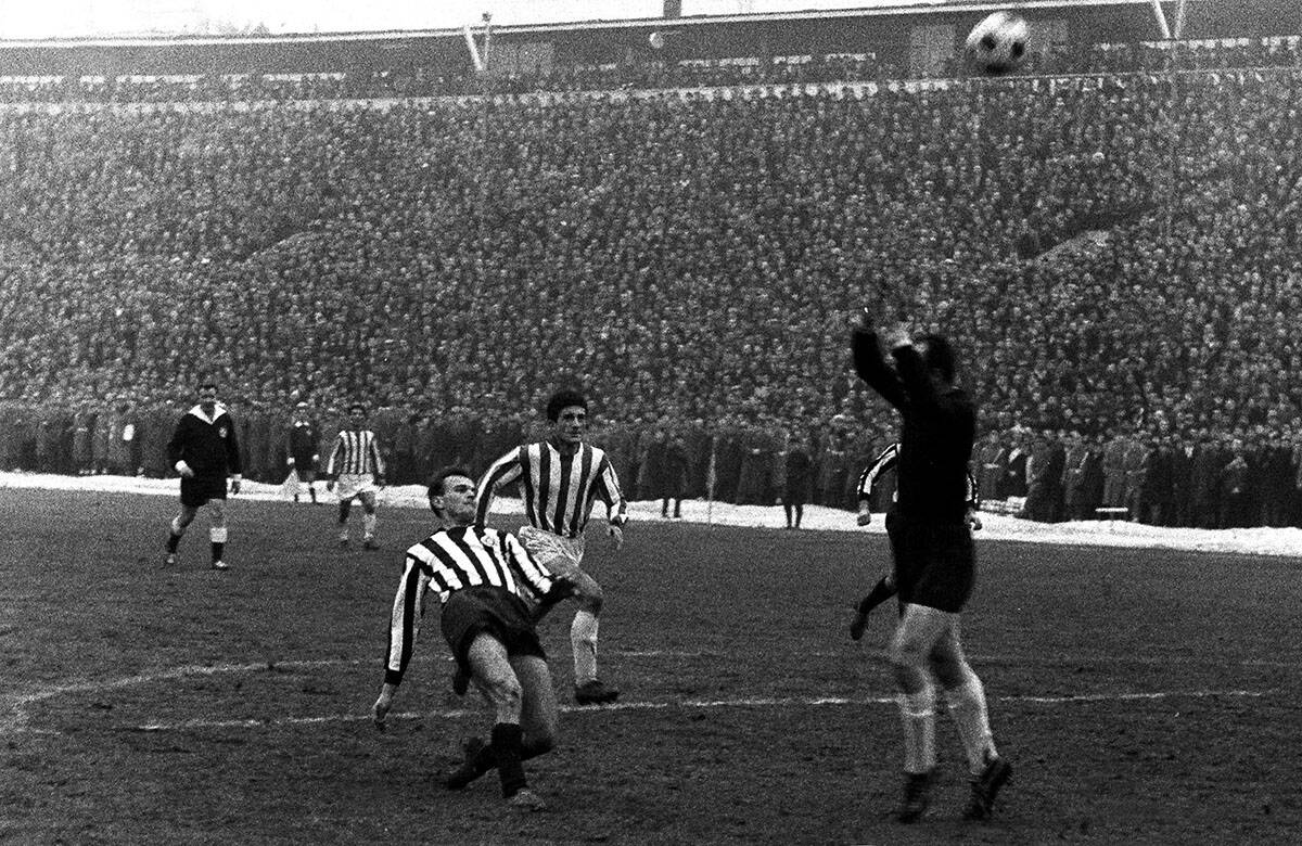 Partizan (7).jpg