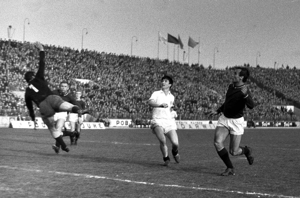 Partizan (7).jpg