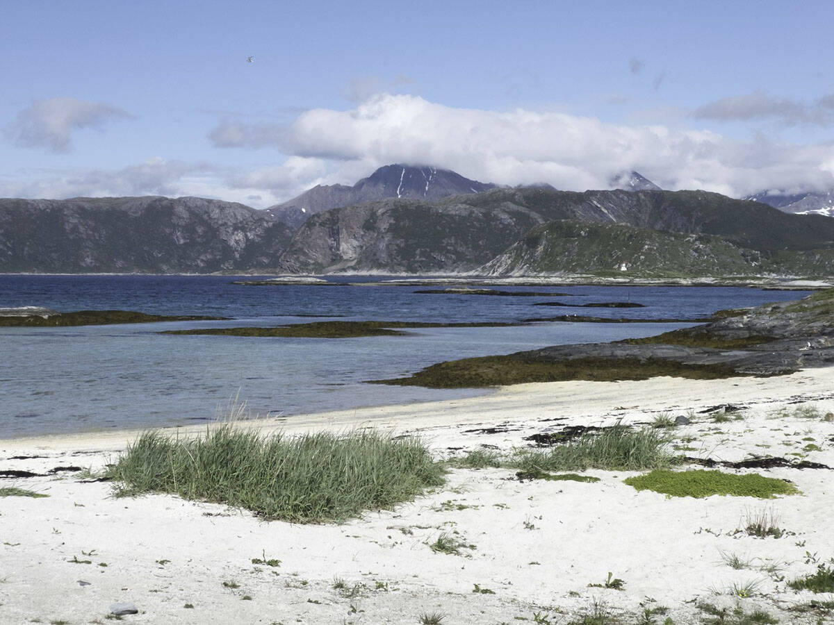 Sommarøy (1).jpg