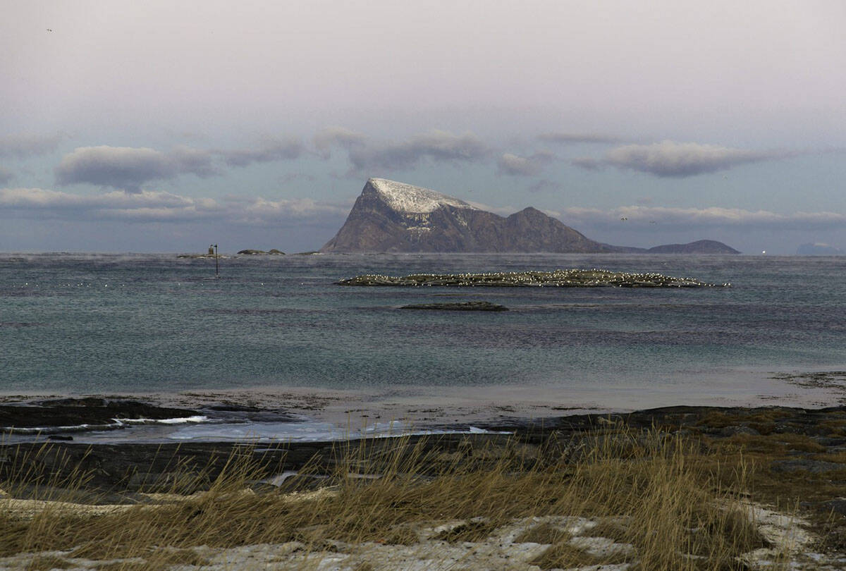 Sommarøy (4).jpg