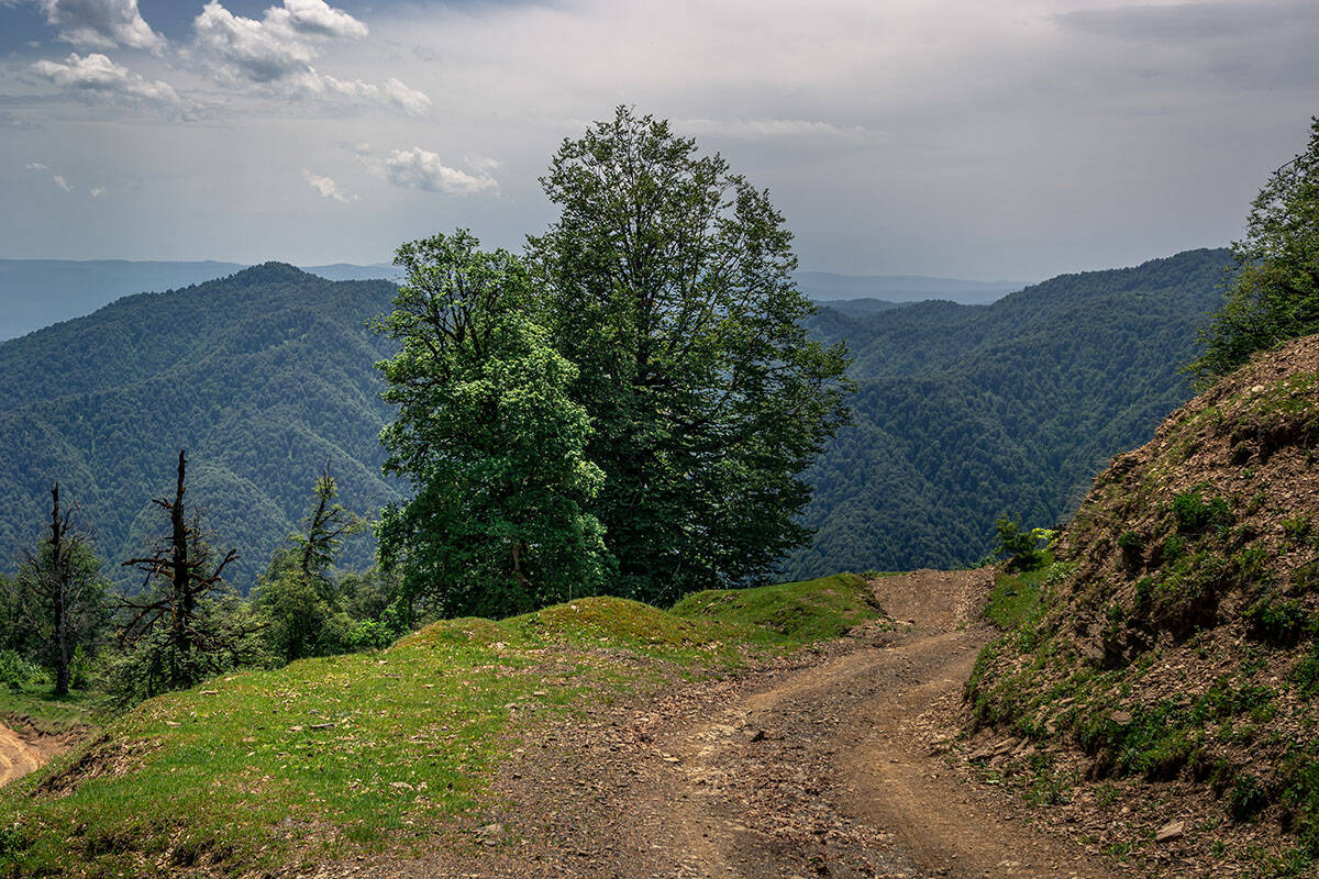 Pankisi, Gruzija