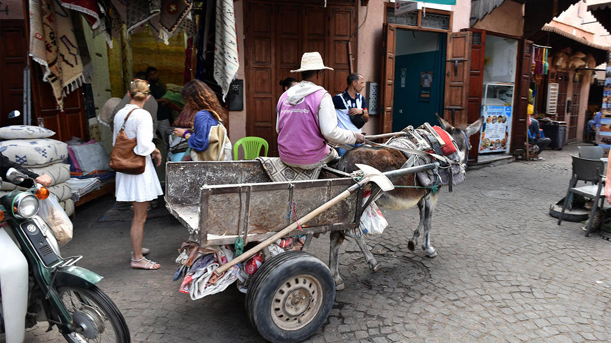 Maroko (5).jpg