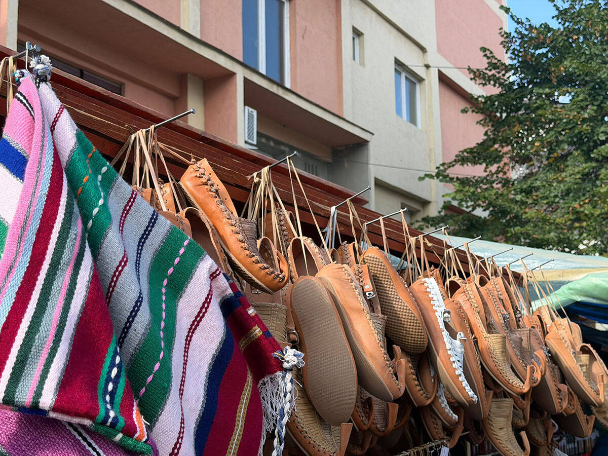 Oplenačka berba (1).jpg