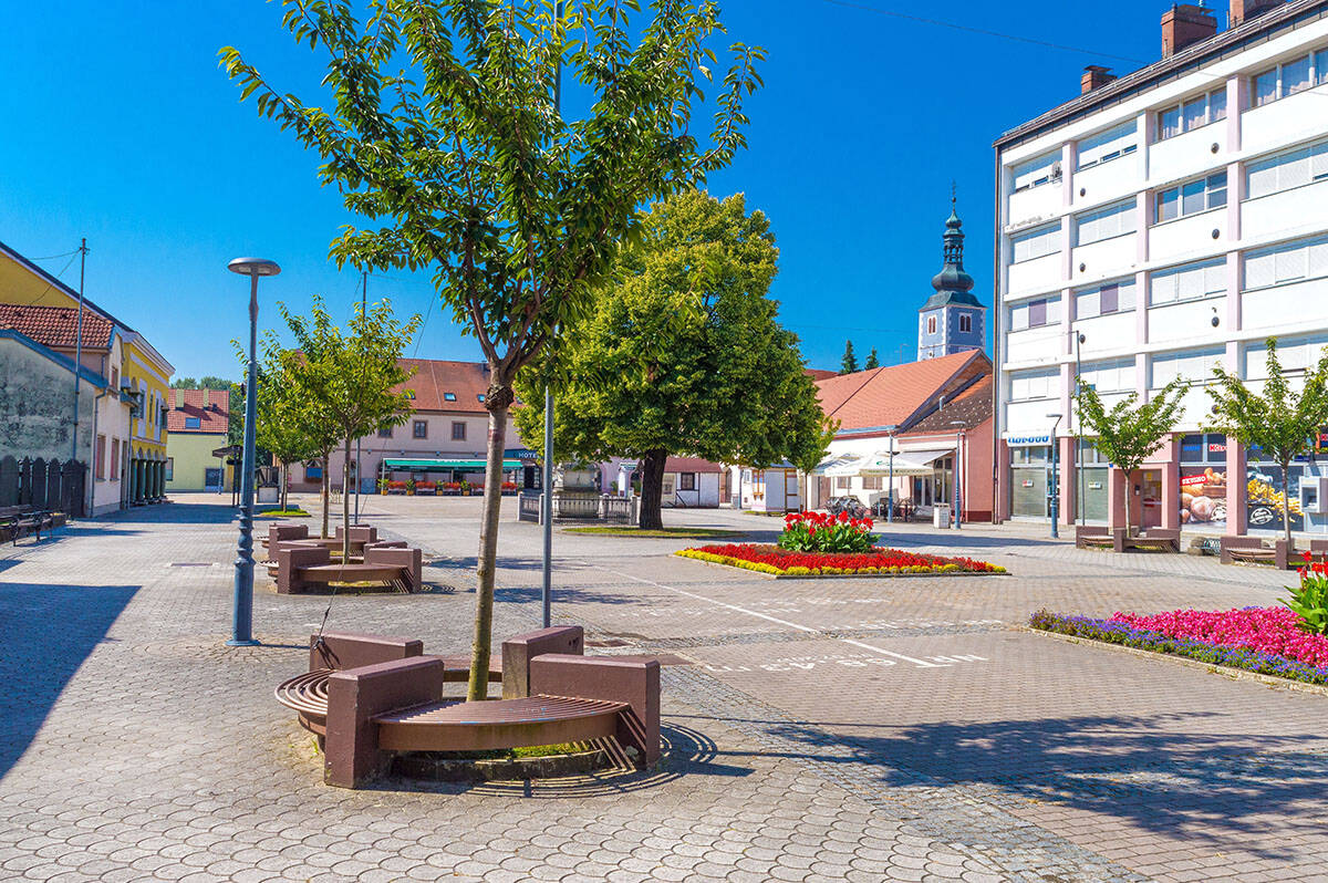 Grad u Hrvatskoj Ludbreg nosi titulu centra sveta (1).jpg