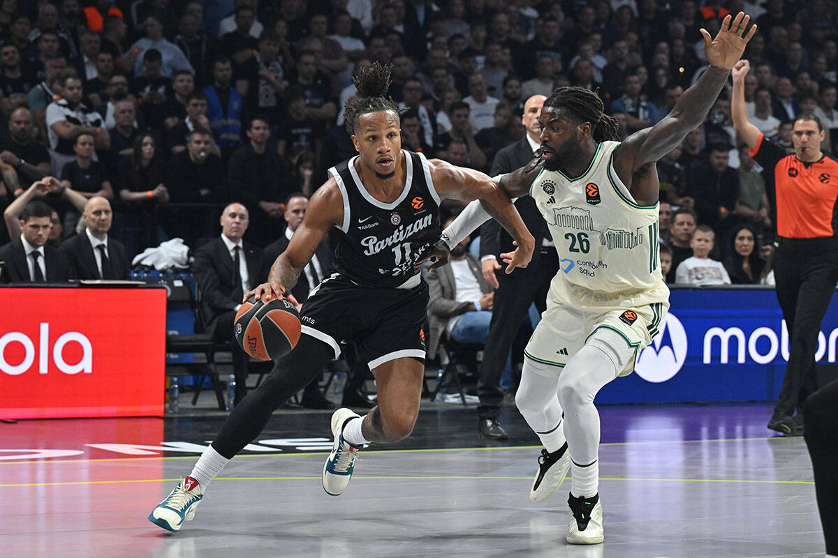 Partizan - Panatinaikos (1).jpg