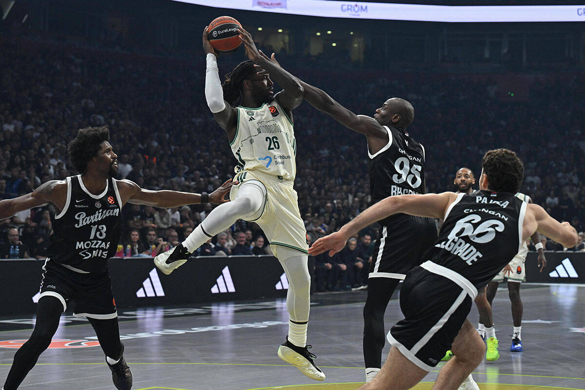 Partizan - Panatinaikos (1).jpg