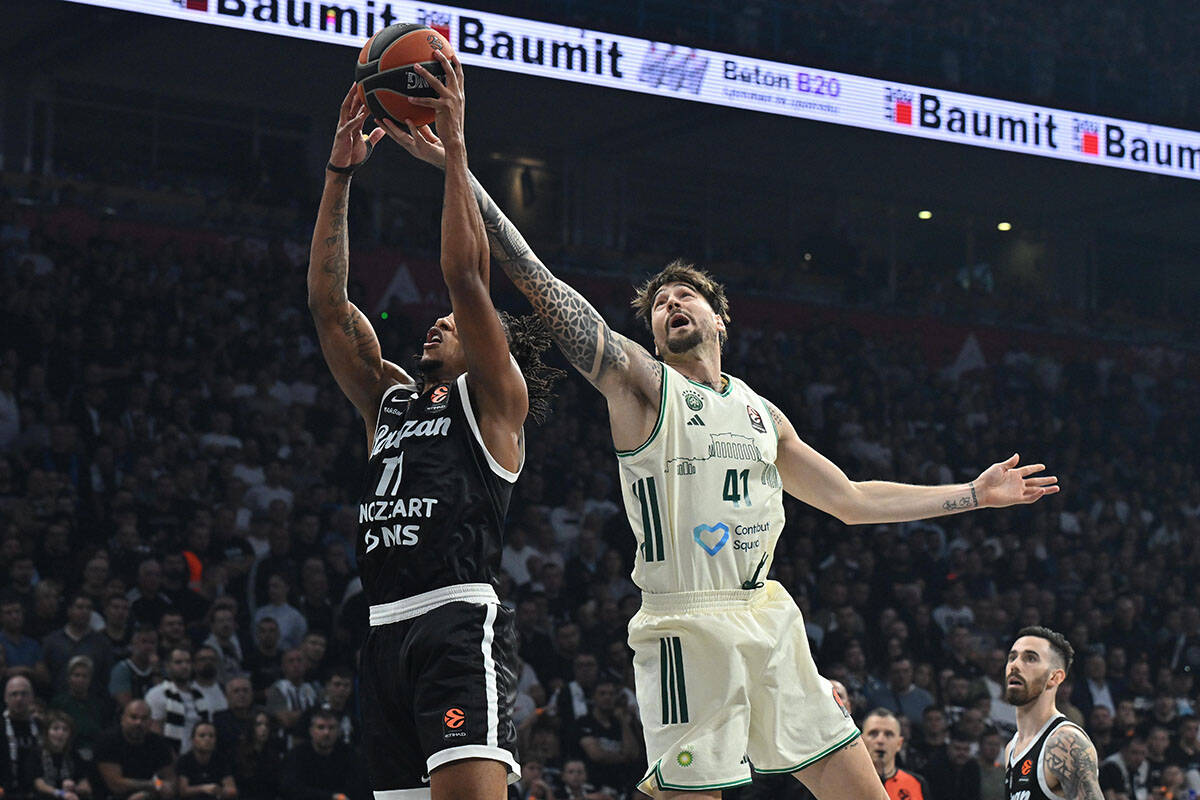 Partizan - Panatinaikos (1).jpg