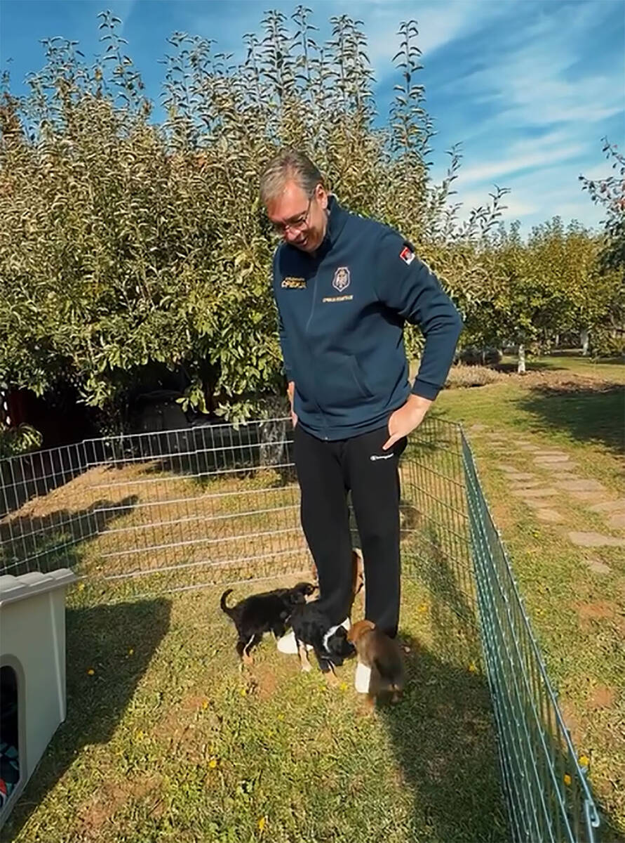 Vučić udomio napuštene pse (1).jpg