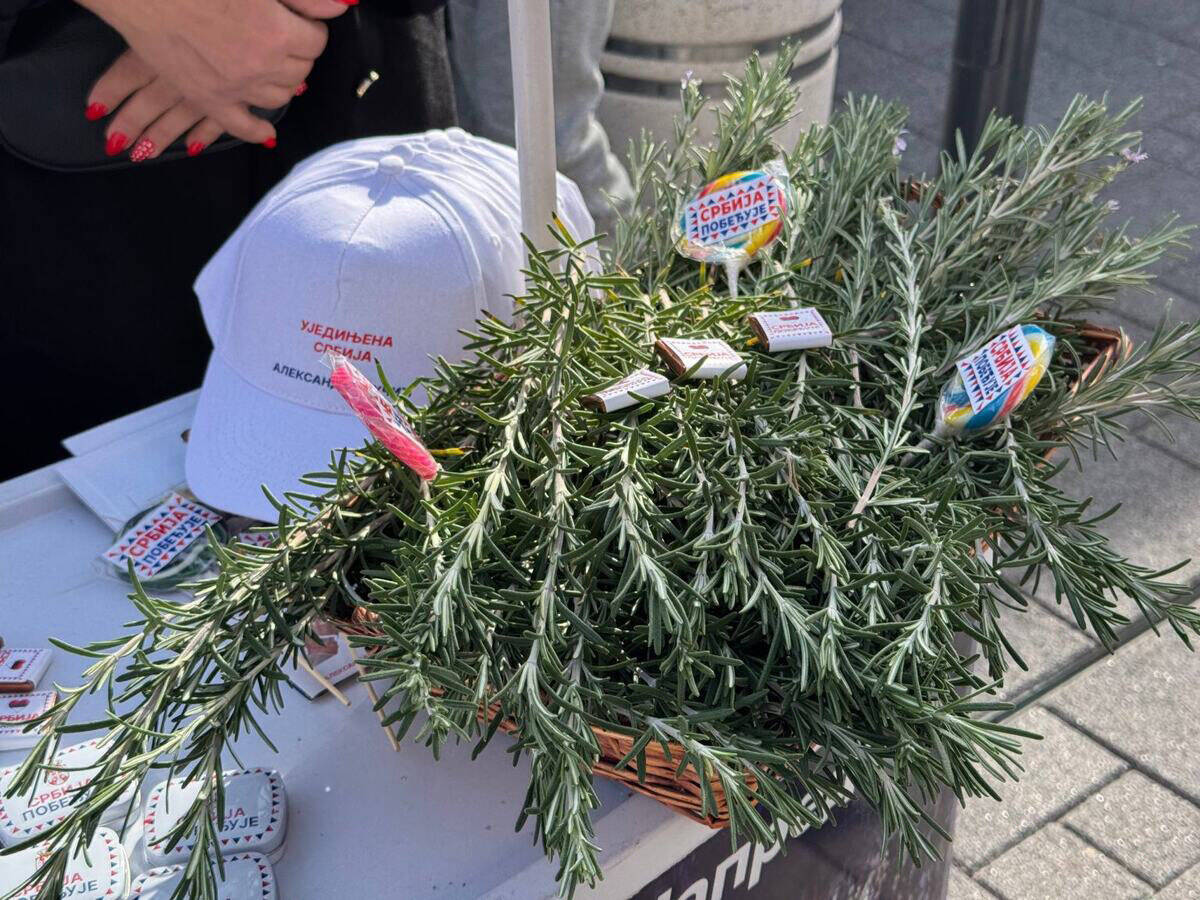 Omladina krenula peške u Novi Sad na veliki skup SNS (1).jpg