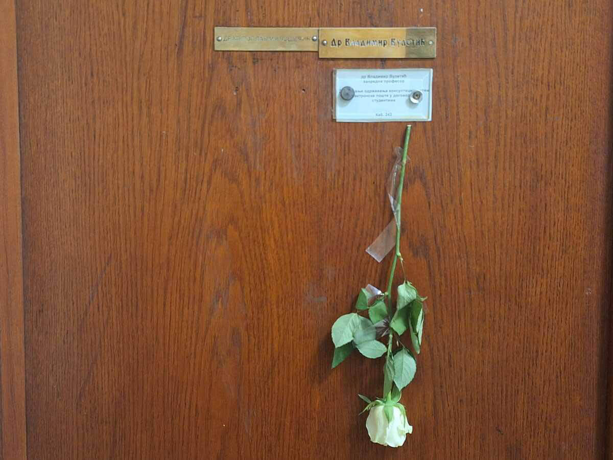 Bele ruže ispred kabineta Vladimira Vuletića (1).jpg