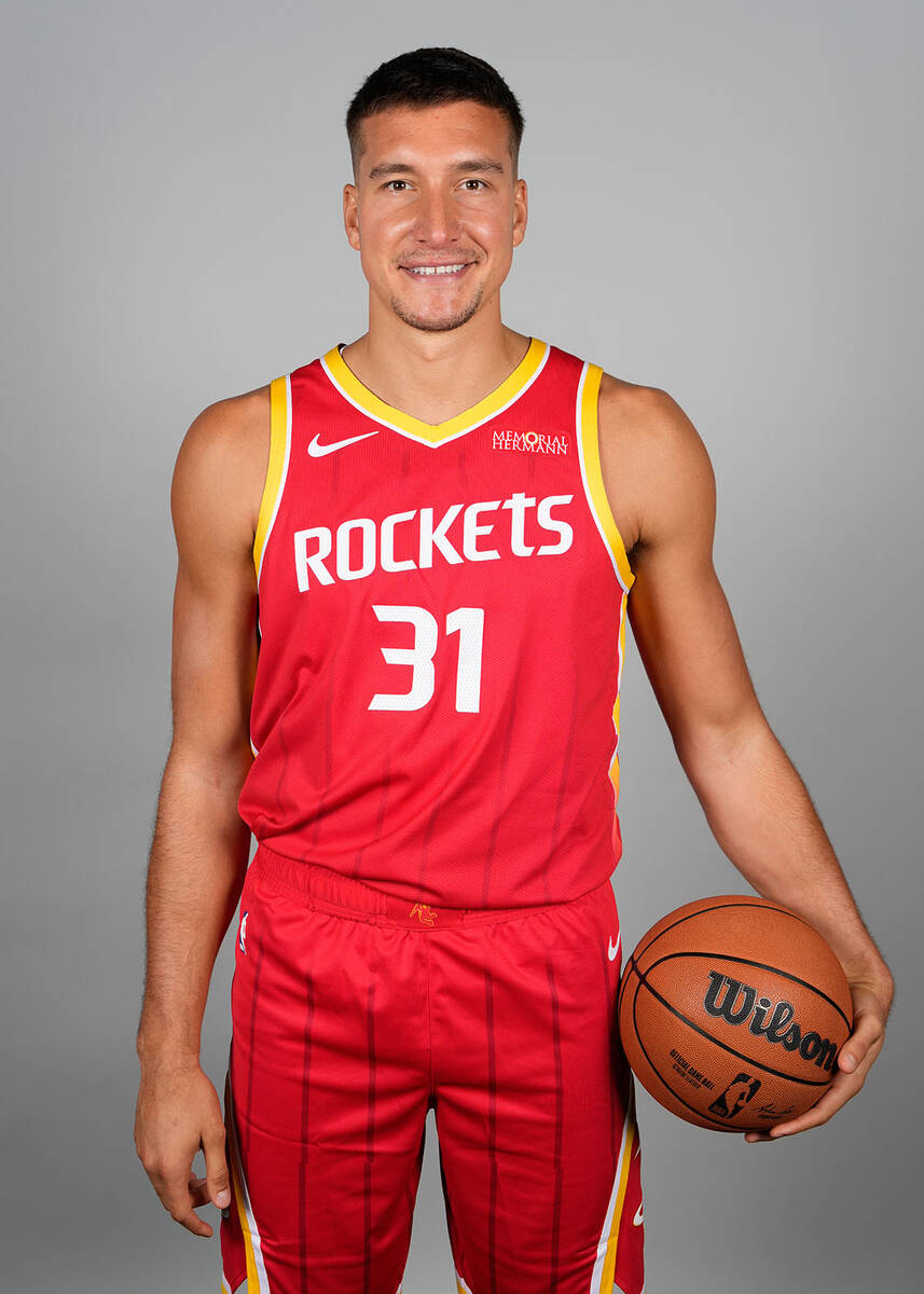 Bogdan Bogdanović (2).jpg