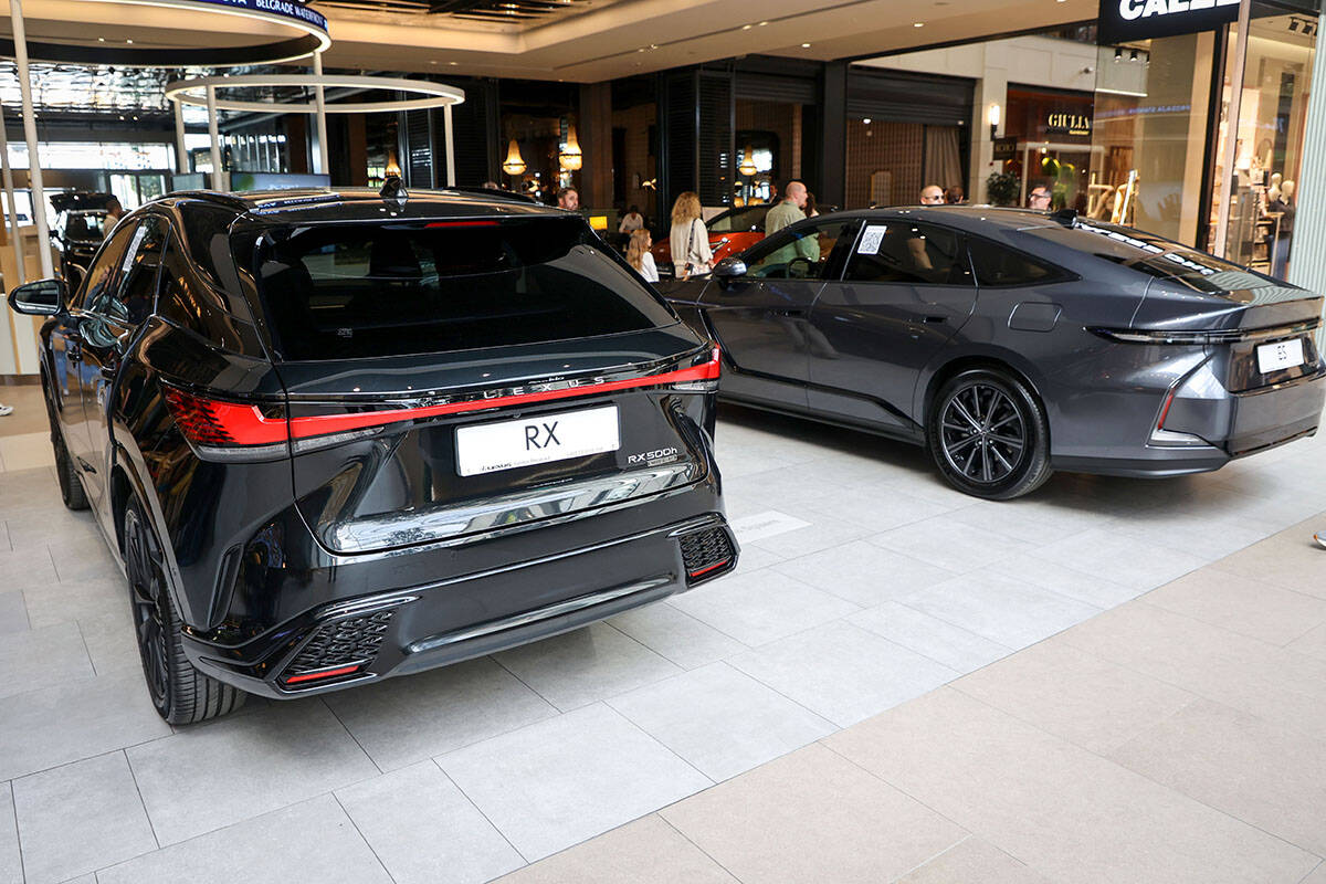 Lexus (1).jpg