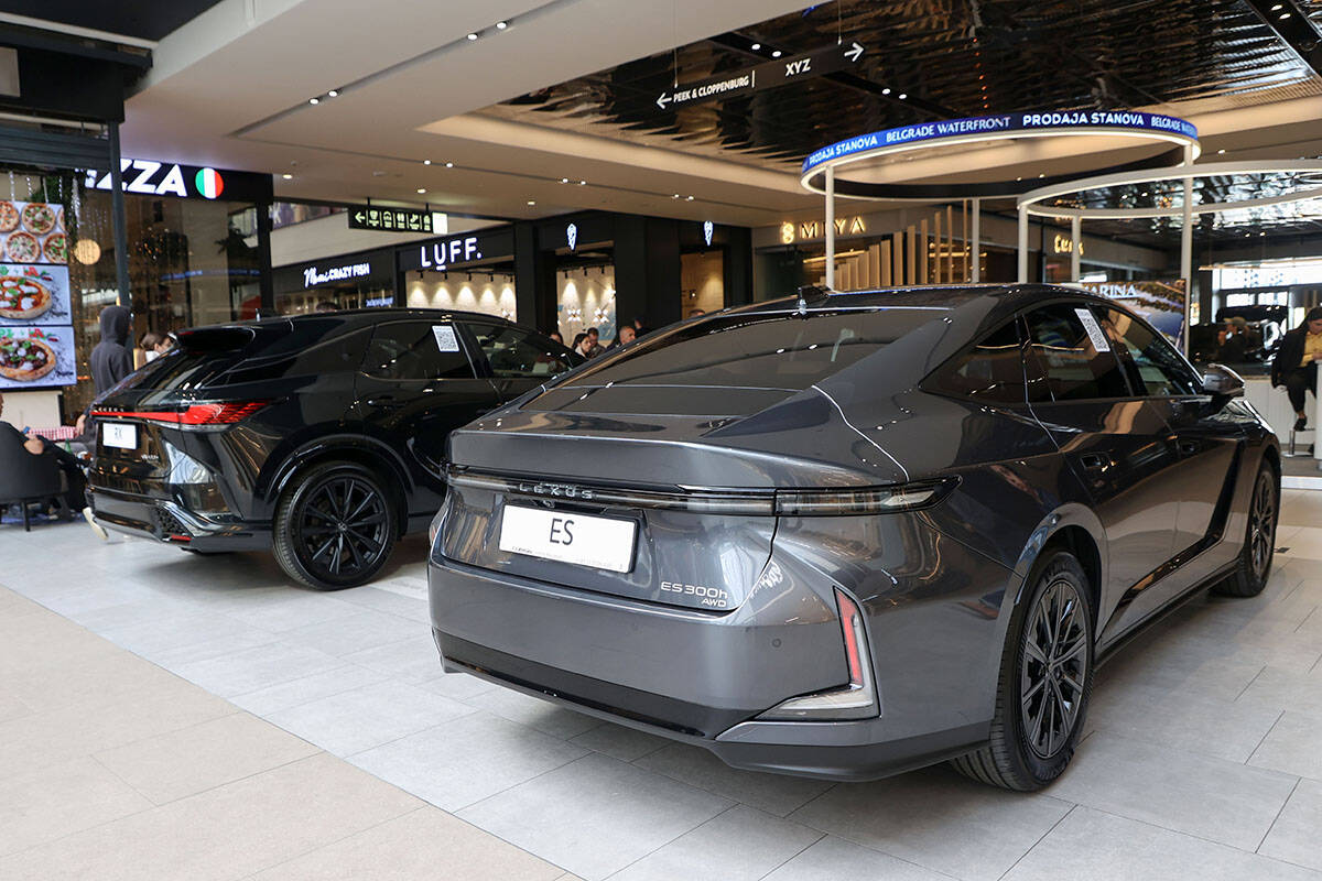 Lexus (1).jpg