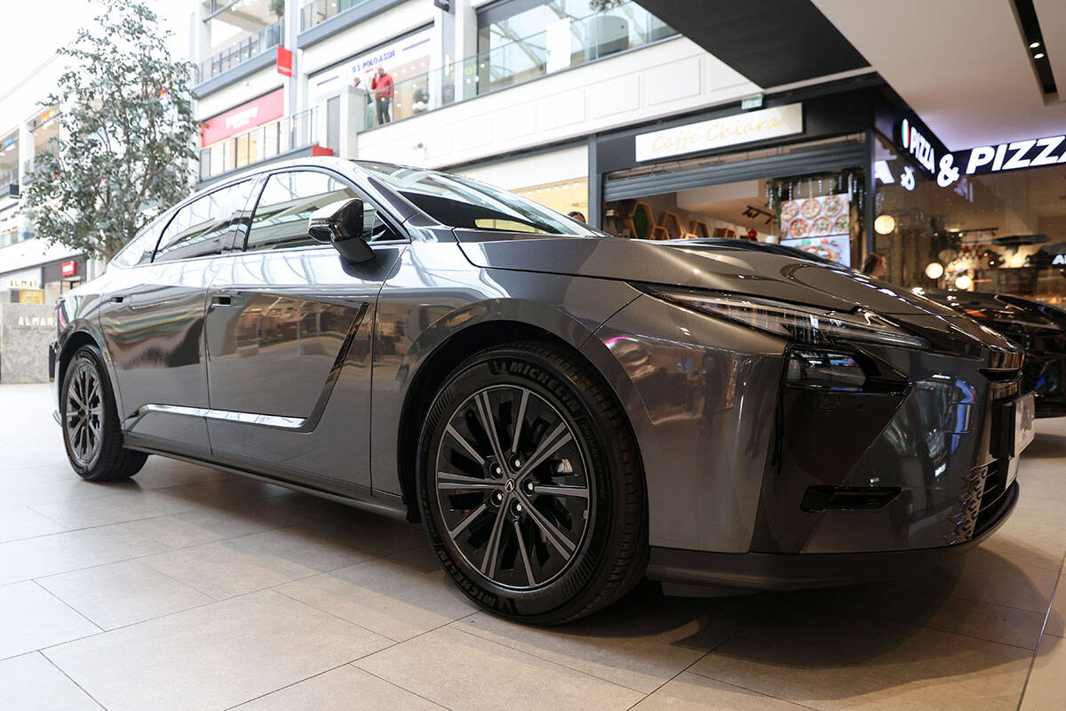 Lexus (1).jpg