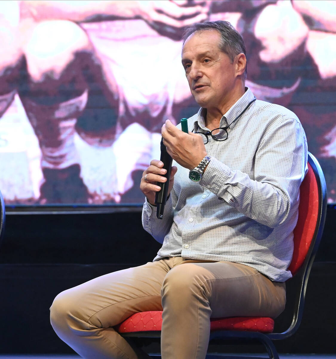 Faruk Hadzibegić (1).jpg