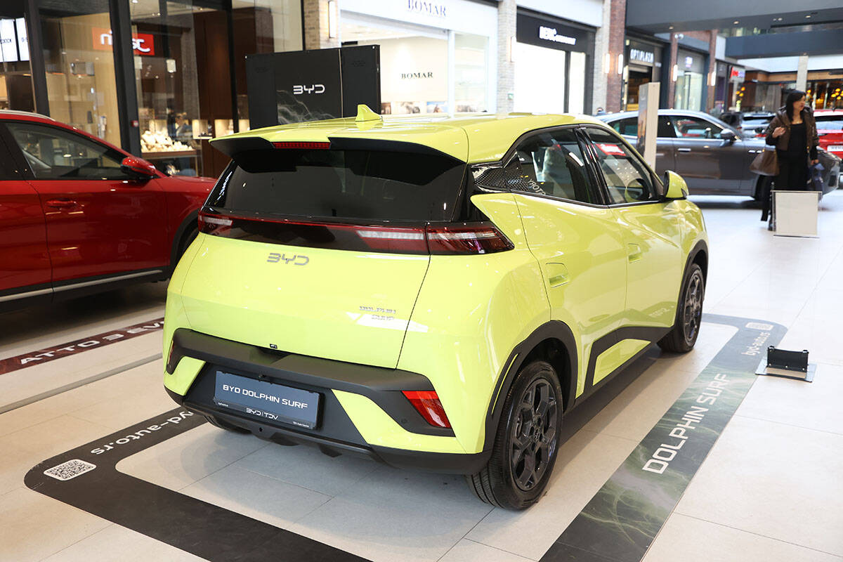 byd dolphin surf (1).jpg