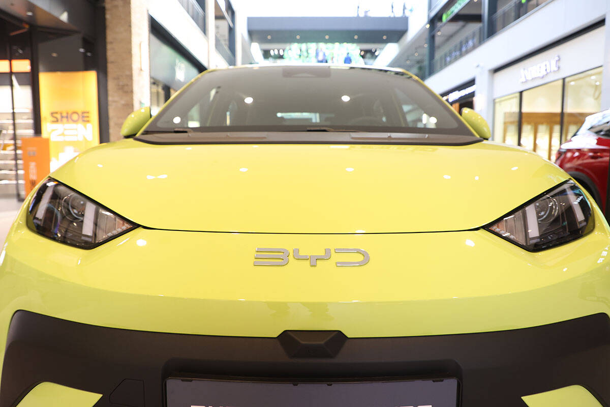 byd dolphin surf (1).jpg