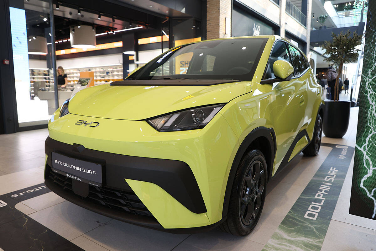 byd dolphin surf (1).jpg