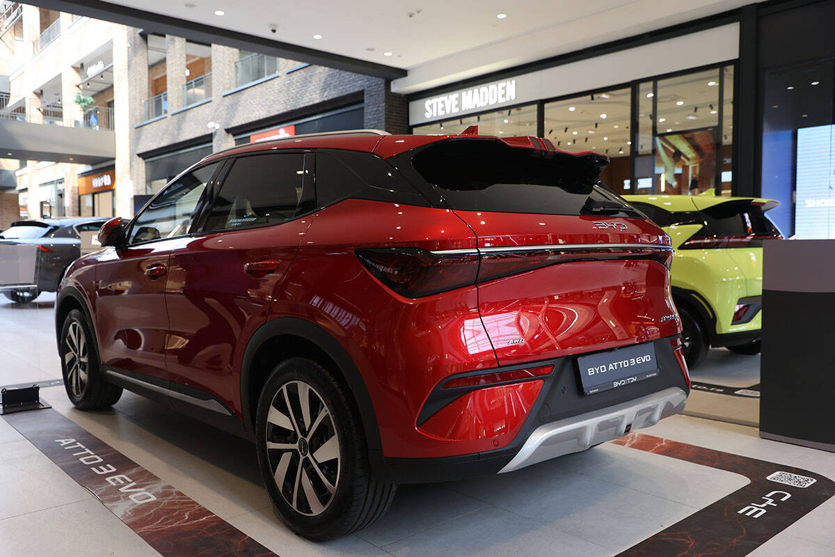 byd dolphin surf (1).jpg