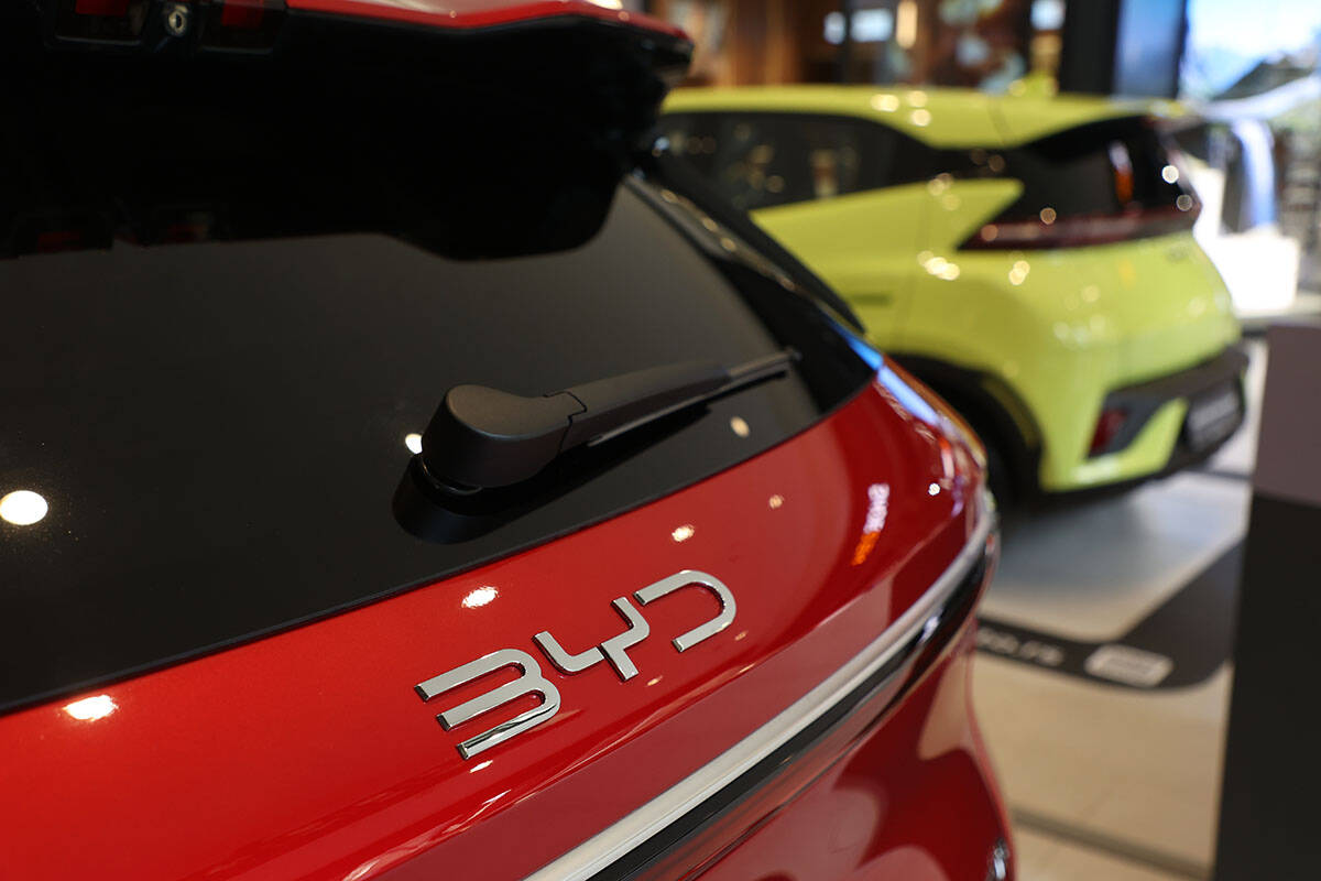 byd dolphin surf (1).jpg