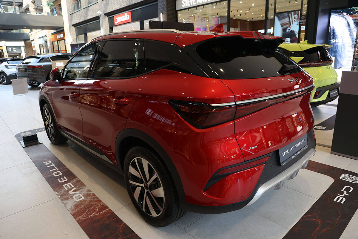 byd dolphin surf (1).jpg
