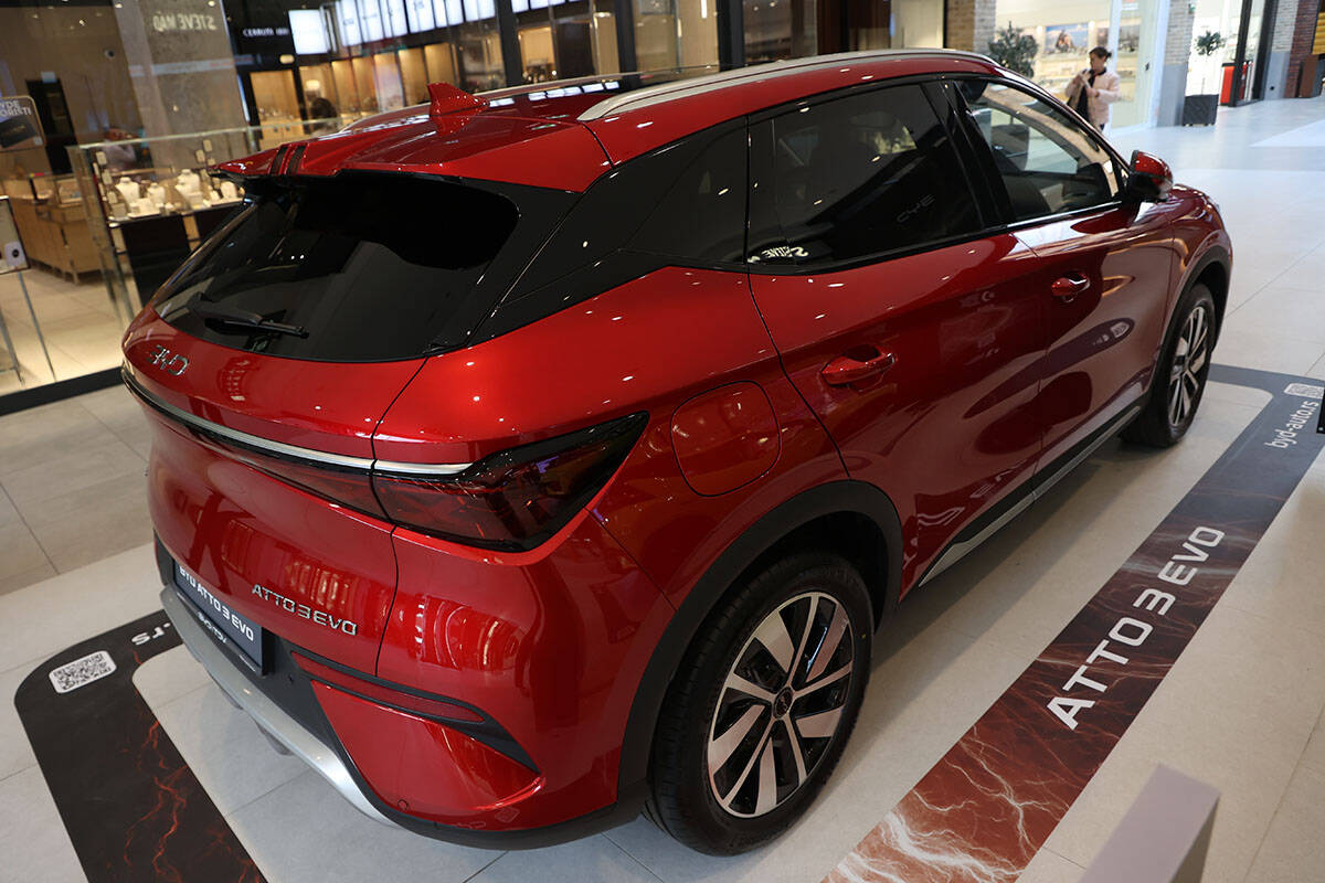 byd dolphin surf (1).jpg