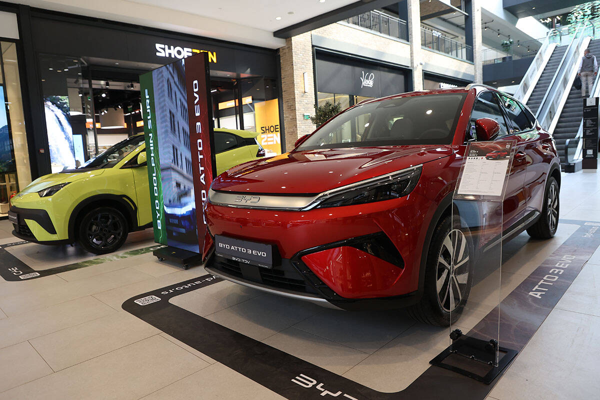 byd dolphin surf (1).jpg