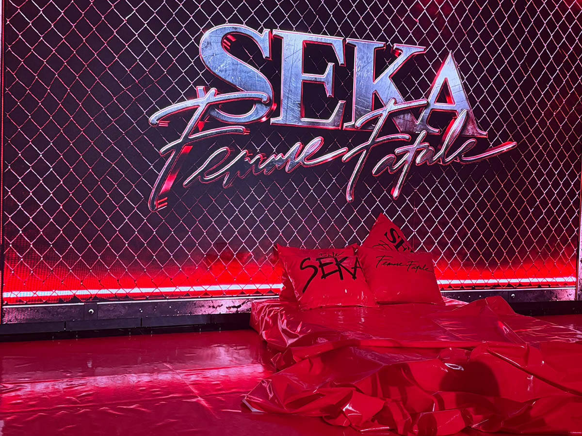 Seka Aleksić promocija albuma Femme Fatale (1).jpg