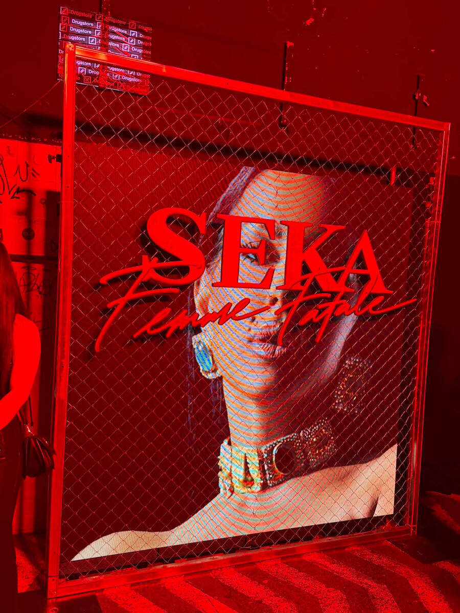 Seka Aleksić promocija albuma Femme Fatale (1).jpg