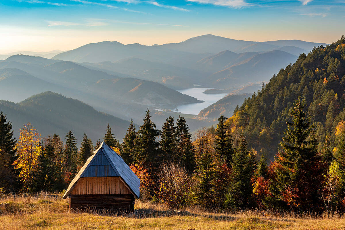 Tara