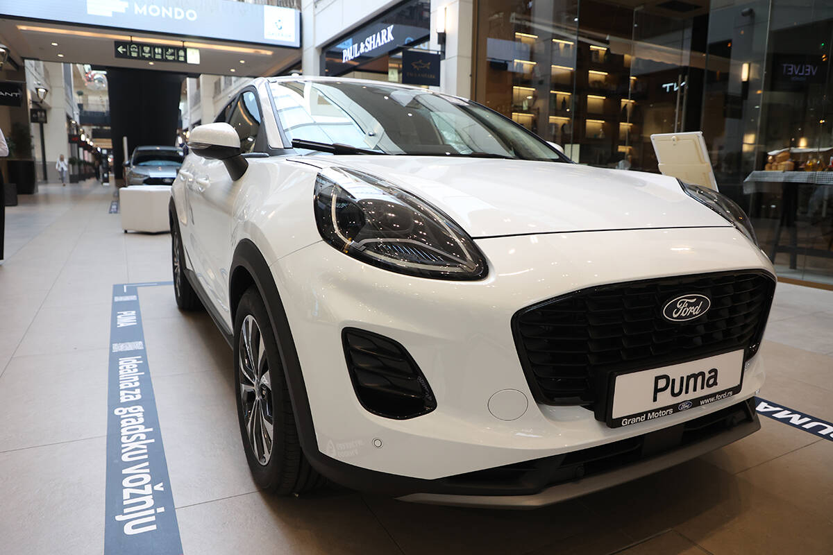 Ford Puma (1).jpg