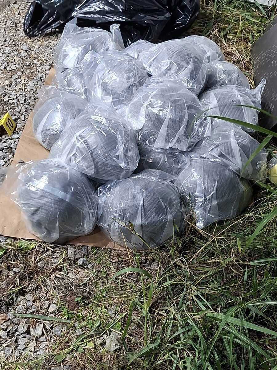 Uhapšen član grupe Marka Veina zbog planiranja nereda tokom izbora (1).jpg