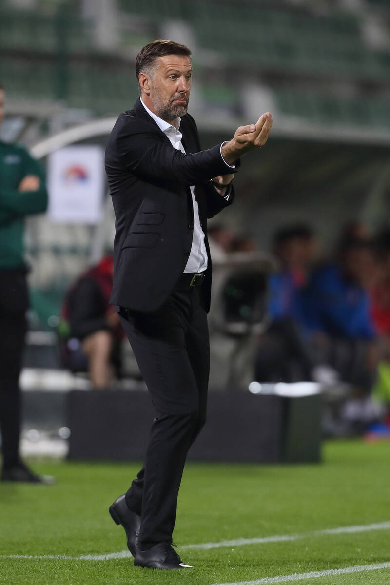 Mladen Krstajić