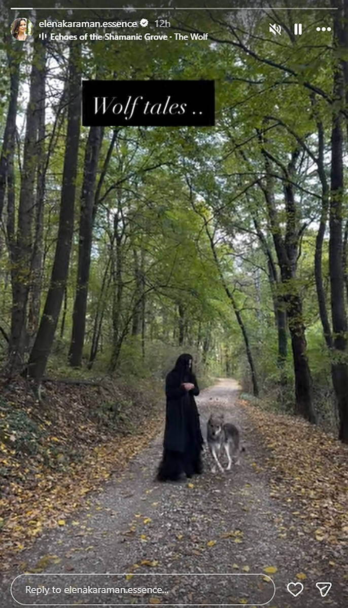 Elena Karaman u šumi sa vukom (1).jpg