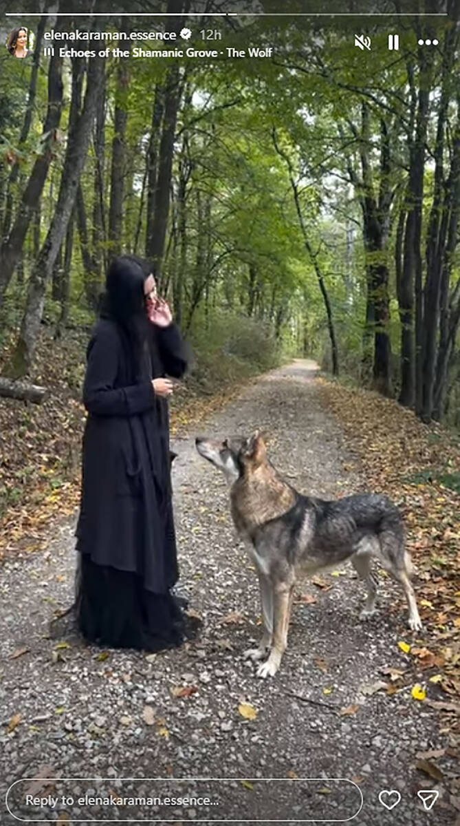 Elena Karaman u šumi sa vukom (1).jpg