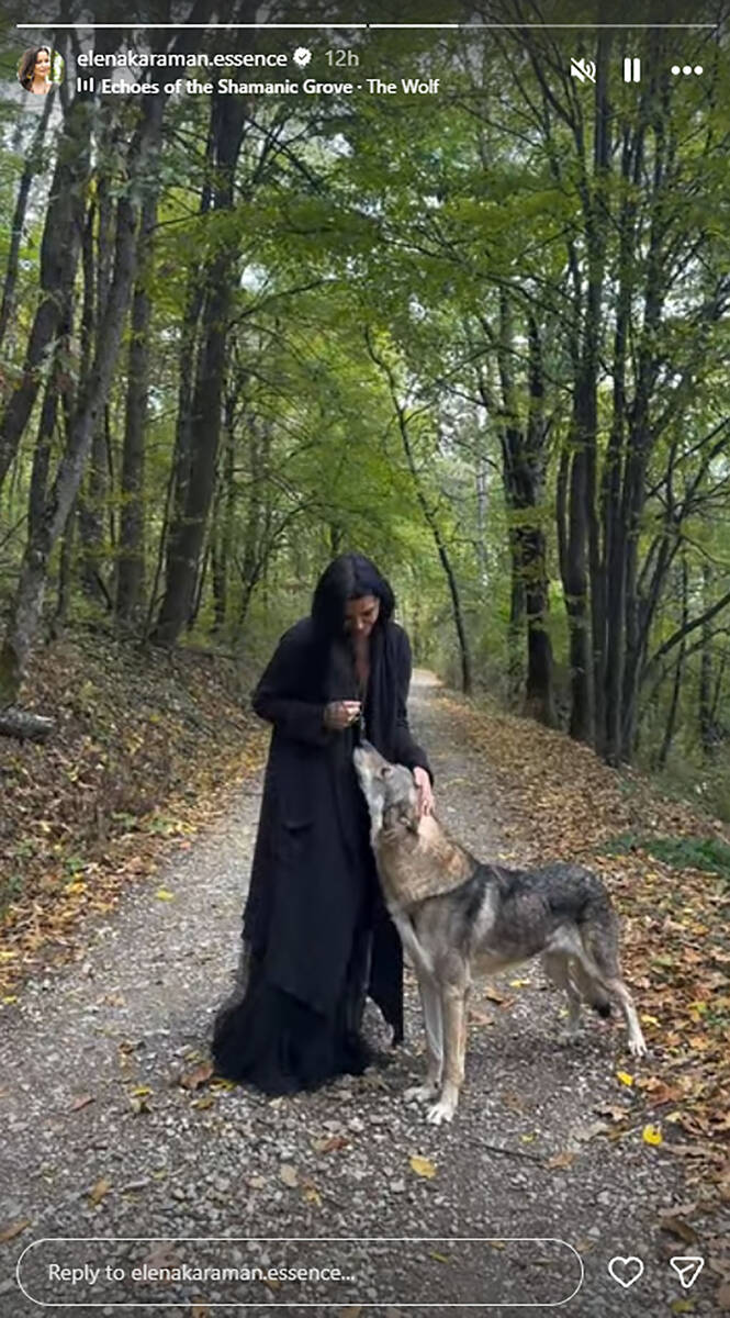Elena Karaman u šumi sa vukom (1).jpg
