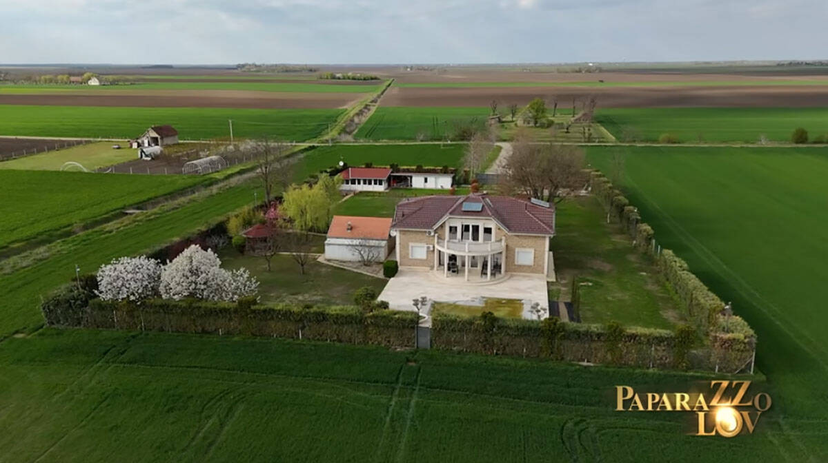 Nataša Bekvalac nadomak NS (1).jpg