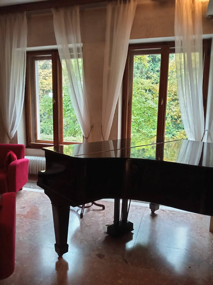 Vila Bled (1).jpg