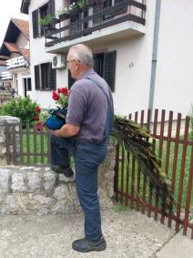 paun u cacanskom selu atenica 