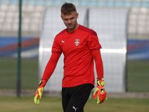 nemanja jovic reprezentacija srbije dragan stojkovic piksi