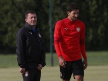 nemanja jovic reprezentacija srbije dragan stojkovic piksi