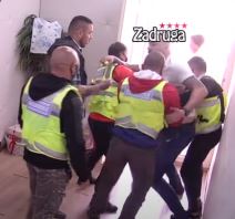 janjus davi maju zadruga video